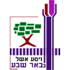 סקייטפארק באר שבע 